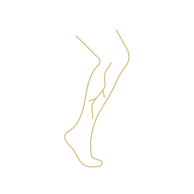 Ícone Saúde Vascular